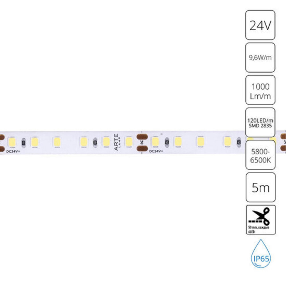 Светодиодная лента ARTE LAMP A2412008-06-6K