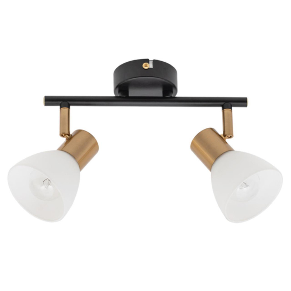 ARTE LAMP A3117PL-2BK