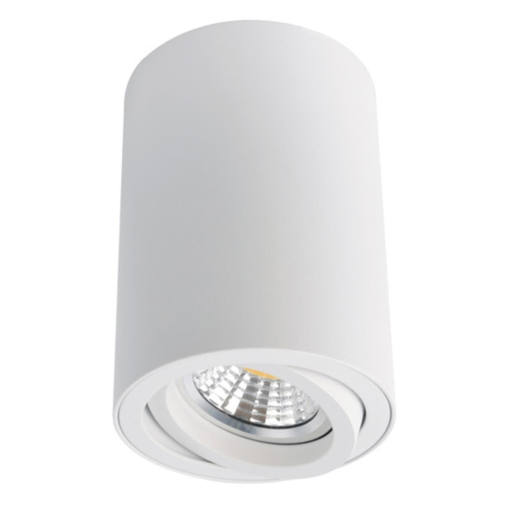 Накладной светильник ARTE LAMP A1560PL-1WH