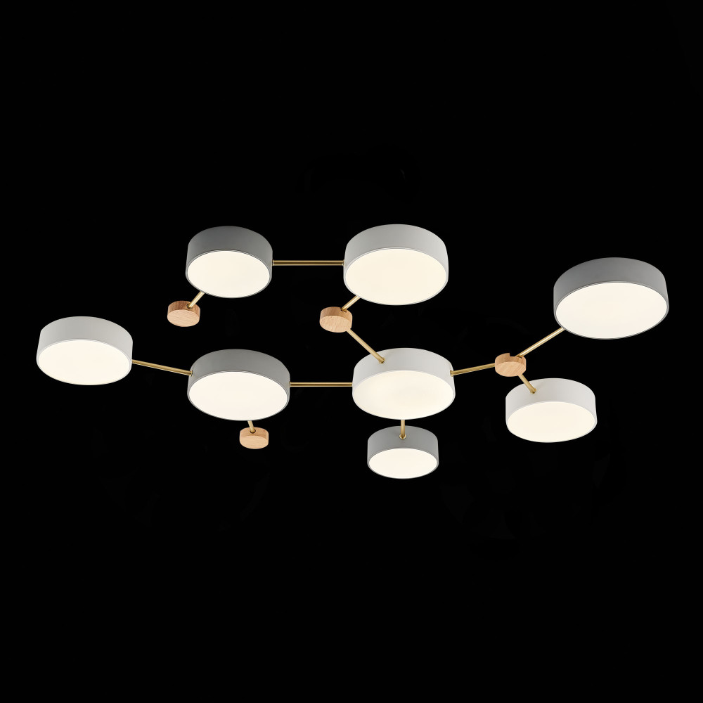 Потолочная люстра EVOLUCE SLE600102-08