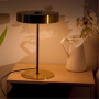 Декоративные настольные лампы ARTE LAMP A5038LT-3PB