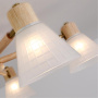 Потолочные люстры ARTE LAMP A4096PL-5BR