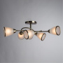 Потолочная люстра ARTE LAMP A6059PL-6AB