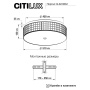 Потолочная люстра CITILUX CL32418G1