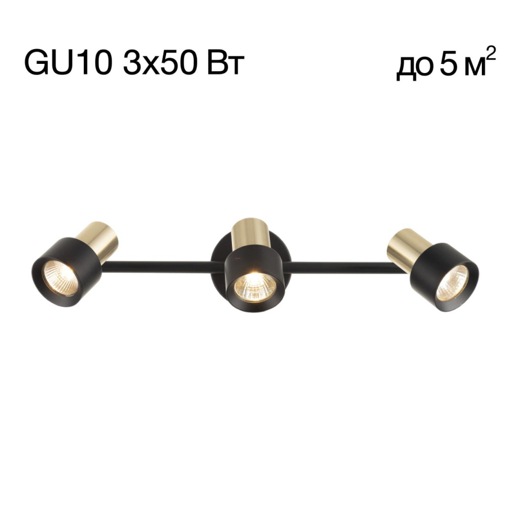 CL505631 SAT Черный+Зол. Св-к Наст.-Потол.