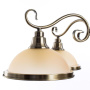 Подвесные люстры ARTE LAMP A6905LM-5AB