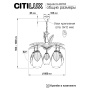 CL420153 Гаруда Люстра