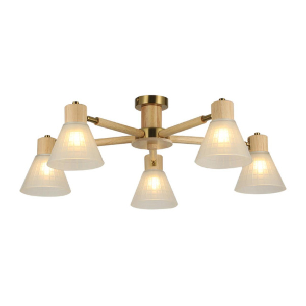 Потолочные люстры ARTE LAMP A4096PL-5BR