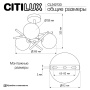 Люстра на штанге CITILUX CL242133