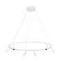 Подвесная люстра ARTE LAMP A2186SP-1WH