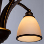 Подвесные люстры ARTE LAMP A9518LM-8BA