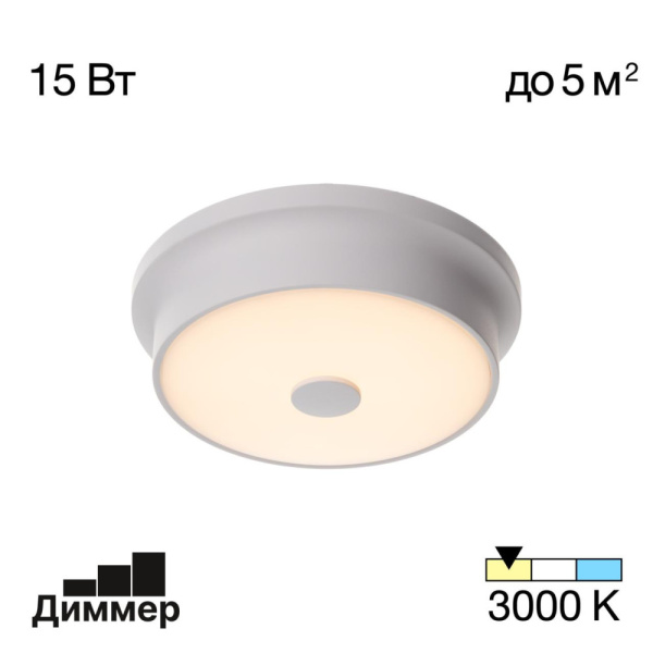 Потолочный светильник CITILUX CL706210